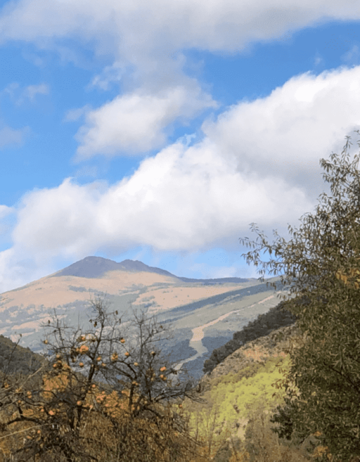 Cerro del Almírez