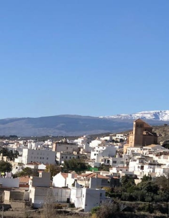 Laujar y Sierra Nevada al fondo.