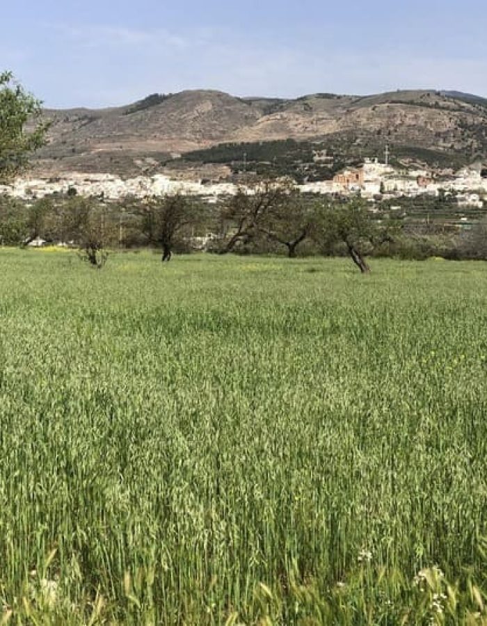 Laujar, desde La Vega.