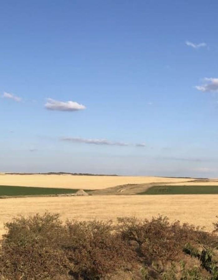 Paisaje soleado de Burgos